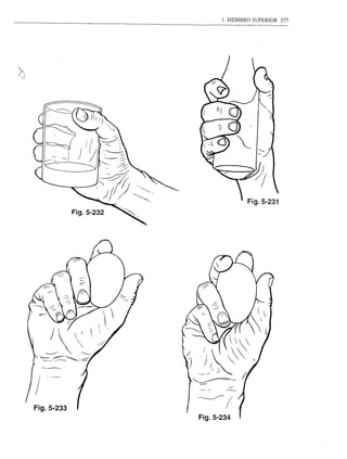 1. MEMBRO SUPERIOR   277




            Fig.5-232




;-
Fig.5-233
                        Fig.5-234
 