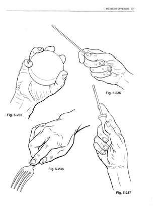 1. MEMBRO SUPERIOR         279




                         Fig.5-236




Fig.5-235




                                               I




                                               (

            Fig.5-238
                           ---~---
                           I) '-"---
                           --.-r-
                                       

                                           
                                       Fig.5-237
 