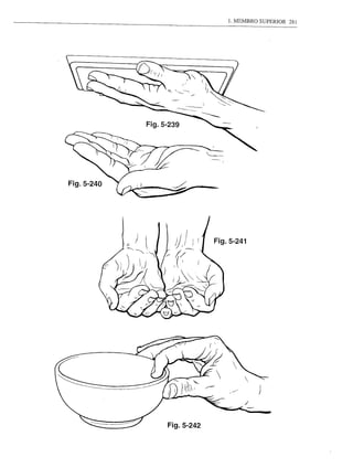 1. MEMBRO SUPERIOR   281




            Fig.5-239




Fig.5-240




                              Fig.5-241




                                            j




                  Fig.5-242
 