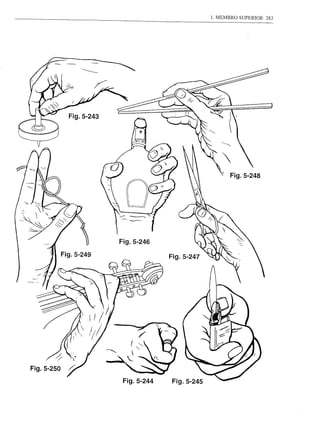 :/:
        '/
Fig.5-250
             Fig.5-244
 