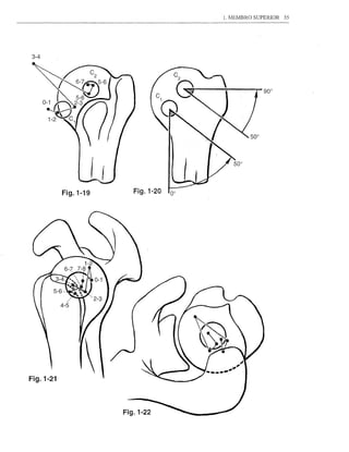 1. MEMBRO SUPERIOR   35




3-4




           Fig.1-19      Fig. 1-20   '00




Fig.1-21



                      Fig.1-22
 