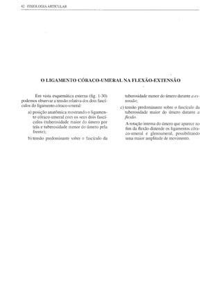 42   FISIOLOGIA ARTICULAR




            o LIGAMENTO         CÓRACO-UMERAL NA FLEXÃO-EXTENSÃO


        Em vista esquemática extema (fig. 1-30)        tuberosidade menor do úmero durante a ex-
podemos observar a tensão relativa dos dois fascí-     tensão;
culos do ligamento córaco-umeral:                    c) tensão predominante sobre o fascículo da
     a) posição anatômica mostrando o ligamen-          tuberosidade maior do úmero durante a
        to córaco-umeral com os seus dois fascí-       fiexão.
        culos (tuberosidade maior do úmero por         A rotação intema do úmero que aparece no
        trás e tuberosidade menor do úmero pela        fim da flexão distende os ligamentos córa-
        frente);                                       co-umeral e glenoumeral, possibilitando
     b) tensão predominante sobre o fascículo da       uma maior amplitude de movimento.
 