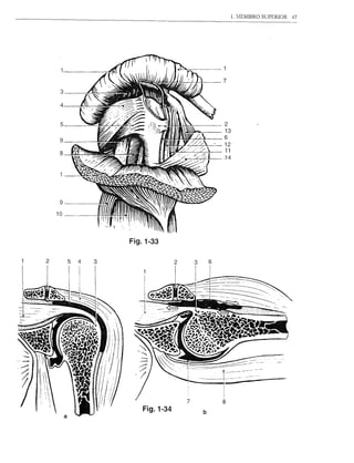 7
                   L  ,~'-"""'''WIl:l:b..~~U;;;hj
                                               //.J
 3



 5
 4          ~
                              ' ','/ ", '/, ,..--
                  " >,,;:,,:;',~ ~ •. ~-~ ~
                    - ,.,/1. , I'
                                ,/;.,",' ./~--'
                                                ~
                                                  ,,-'••
                                                      
                                                      jl//i   ..•    ~fl"~1,,
                                                                         ! ••
                                                                                    '
                                                                                 _.,   •••.   'J   2
                                                                                                        13
 9                     v///' -.~                                    g-'"""--T"                    -    6
                           .     -   ..                              '"" 111'               / / /      12
 8       1('(1-   =       -rr;:;--~,·",'~'I!S;:..              H,IU~"':'~:',,/"" ;
                                                                            '                           11
                                                                                                        .14




 9

10




                                           Fig.1-33

     5      4         3




                                                     Fig.1-34                                      b
 