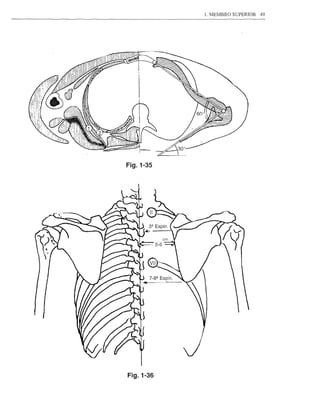 Fig. 1-35




Fig.1-36
 