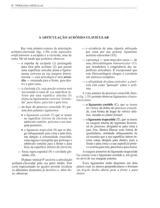 58   FISIOLOGIA ARTICULAR




                         A ARTICULAÇÃO            ACRÔMIO-CLA VICULAR


         Em vista póstero-externa da articulação             - a existência de uma cápsula reforçada
acrômio-clavicular (fig. l-50) estão separados                 por cima por um potente ligamento
artificialmente a escápula e a clavícula, uma da               acrômio-clavicular (15); ,
outra. De tal modo que podemos observar:                     - a presença - num terço dos casos - de
      -   a espinha da escápula (1) prolongada                 uma fibrocártilagem interarticular (11)
          para fora pelo acrômio (2) que possui                que restabelece a congruência das su-
          uma superfície articular plana e ligeira-            perfícies articulares. É excepcional que
          mente convexa na sua margem ântero-                  esta fibrocartilagem chegue a constituir
          interna - esta articulação é uma artró-              um me'nisco completo;
          dia ~ orientada para a frente, para den-           - a obliqÜidade do plano articular: a claví-
          tro e para cima;                                     cula está como "pousada" sobre o acrô-
      -   a clavícula (3), cuja porção extema está               nuo.
          seccionada à custa de sua superfície in-             A vista anterior do processo coracóide direi-
          ferior por uma superfície articular (5)        to (fig. l-51) permite observar ligamentos córaco-
          plana ou ligeiramente convexa "orienta-        c1aviculares.
          da" para baixo, para trás e para fora;
                                                              - o ligamento conóide (C), que se insere
      -   da base do processo coracóide (6) par-                no vértice da dobra do processo coracói-
          tem dois potentes ligamentos:                         de, com forma de leque de vértice infe-
          • o ligamento conóide (7) que se insere               rior, situado no plano frontal;
            na superfície inferior da clavícula no            - o ligamento trapezóide (T), que se insere
            tubérculo conóide, próximo a sua mar-               na margem intema do segmento horizon-
            gem posterior;                                      tal do processo, dirigindo-se para cima e
          • o ligamento trapezóide (8) que se diri-             para fora, lâmina fibrosa com forma de
            ge obliquamente para cima e para fora,              quadrilátero, orientada obliquamente de
            em direção à tuberosidade coracóide,                tal maneira que a sua superfície ântero-in-
            zona mgosa e triangular que prolonga o              tema esteja dirigida para dentro, para a
            tubérculo conóide para a frente e para              frente e para cima e a sua superfície póste-
            fora, na superfície inferior da clavícula;          ro-externa para trás, para fora e para baixo.
      -   fossa supra-espinhal (9) e cavidade gle-            A margem posterior do ligamento trapezóide
          nóide (10).                                    faz contato com o ligamento conóide e, em geral,
        O plano vertical P secciona a articulação        no nível de sua margem externa.
acrômio-clavicular pela sua parte média. Este                 Estes ligamentos estão dispostos em dois
corte representado no quadro permite localizar           planos mais ou menos perpendiculares e formam
os diferentes elementos já descritos e, além dis-        um ângulo diedro aberto para a frente e para
so, observar:                                            dentro.
 