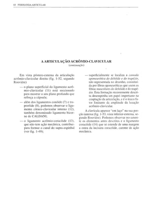 60   FISIOLOGIA ARTICULAR




                       A ARTICULAÇÃO ACRÔMIO-CLAVICULAR
                                            (continuação)


    Em vista póstero-externa da articulação                 -   superficialmente se localiza a camada
acrômio-clavicular direita (fig. 1-52, segundo                  aponeurótica   do deltóide e do trapézio,
Rouviere)                                                       não representada no desenho, constituí-
      -   o plano superficial do ligamento acrô-                da por fibras aponeuróticas que unem as
                                                                fibras musculares do deltóide e do trapé-
          mio-clavicular (11) está seccionado
                                                                zio. Esta formação recentemente descri-
          para mostrar o seu plano profundo que
                                                                ta desempenha um papel importante na
          reforça a cápsula;
                                                                coaptação da articulação, e é o único fa-
      -   além dos ligamentos conóide (7) e tra-                tor limitante da amplitude da luxação
          pezóide (8), podemos observar o liga-                 acrômio-clavicular.
          mento córaco-clavicular interno (12),
                                                         A clavícula aparece "em laço" na sua por-
          também denominado ligamento bicor-
                                                    ção interna (fig. l-53, vista inferior-externa, se-
          ne de CALDANI;
                                                    gundo Rouviere). Podemos observar novamen-
      -   o ligamento acrômio-coracóide (13),       te os elementos antes descritos e o ligamento
          que não tem ação mecânica, contribui-     coracóide (14) que se estende de uma margem
          para formar o canal do supra-espinhal     a outra da incisura coracóide, carente de ação
          (ver fig. 1-49);                          mecânica.
 