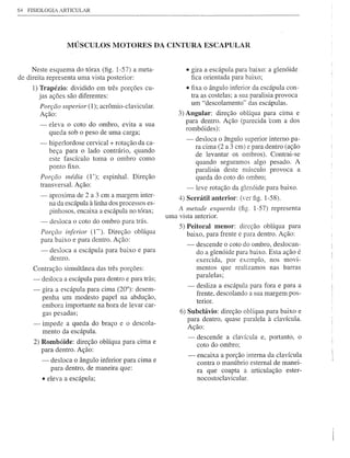 64   FISIOLOGIA ARTICULAR




                      MÚSCULOS MOTORES DA CINTURA ESCAPULAR


     Neste esquema do tórax (fig. l-57) a meta-                  • gira a escápula para baixo: a glenóide
de direita representa uma vista posterior:                         fica orientada para baixo;
      1) Trapézio: dividido em três porções cu-                  • fixa o ângulo inferior da escápula con-
         jas ações são diferentes:                                 tra as costelas; a sua paralisia provoca
                                                                   um "descolamento" das escápulas.
          Porção superior (1); acrômio-clavicular.
          Ação:                                                3) Angular: direção oblíqua para cima e
          - eleva o coto do ombro, evita a sua                    para dentro. Ação (parecida 'com a dos
                                                                  rombóides):
             queda sob o peso de uma carga;
                                                                 -    desloca o ângulo superior interno pa-
          -     hiperlordose cervical + rotação da ca-
                                                                      ra cima (2 a 3 cm) e para dentro (ação
                beça para o lado contrário, quando                    de levantar os ombros). Contrai-se
                este fascículo toma o ombro como
                                                                      quando seguramos algo pesado. A
                ponto fixo.                                           paralisia deste músculo provoca a
          Porção média (1'); espinhal. Direção                        queda do coto do ombro;
          transversal. Ação:                                      -   leve rotação da glenóide para baixo.
          -     aproxima de 2 a 3 cm a margem inter-           4) Serrátil anterior: (Yer figo l-58).
                na da escápula à linha dos processos es-
                pinhosos, encaixa a escápula no tórax;         A metade esquerda (fig. l-57) representa
                                                           uma vista anterior.
          -     desloca o coto do ombro para trás.
                                                               5) Peitoral menor: direção oblíqua para
          Porçcio inferior (1 "). Direção oblíqua                 baixo, para frente e para dentro. Ação:
          para baixo e para dentro. Ação:
                                                                  - descende o coto do ombro, deslocan-
          -     desloca a escápula para baixo e para                 do a glenóide para baixo. Esta ação é
                dentro.                                              exercida, por exemplo, nos movi-
      Contração simultânea das três porções:                         mentos que realizamos nas barras
                                                                     paralelas;
      - desloca a escápula para dentro e para trás;
                                                                  -   desliza a escápula para fora e para a
      -   gira a escápula para cima (20°): desem-
                                                                      frente, descolando a sua margem pos-
          penha um modesto papel na abdução,                          terior.
          embora importante na hora de levar car-
          gas pesadas;                                         6) Subclávio: direção oblíqua para baixo e
                                                                  para dentro, quase paralela à clavícula.
      -       impede a queda do braço e o descola-
                                                                  Ação:
              mento da escápula.
                                                                  -   descende a clavícula e, portanto, o
       2) Rombóide: direção oblíqua para cima e                       coto do ombro;
          para dentro. Ação:
                                                                  -   encaixa a porção interna da clavícula
          -     desloca o ângulo inferior para cima e                 contra o manúbrio esternal de manei-
                para dentro, de maneira que:                          ra que coapta a articulação ester-
          • eleva a escápula;                                         nocostoclavicular.
 