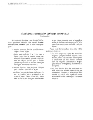 66   FISIOLOGIA ARTICuLAR




                     MÚSCULOS MOTORES DA CINTURA ESCAPULAR
                                                 (continuação)

     No esquema do tórax visto de perfil (fig.                     te de cargas pesadas, mas só quando a
l-58), podemos observar com nitidez o mús-                         abdução do braço ultrapassa os 30° (é o
culo serrátil anterior com as suas duas por-                       caso de transporte de um balde cheio de
ções:                                                              água).
      - porção superior: direção geral horizon-               Neste corte horizontal do tórax (fig. l-59),
        tal para frente. Ação:                            podemos observar:
        o   dirige a escápula de 12 a 15 cm para a               - do lado esquerdo: ação dos músculos
            frente e para fora, ao mesmo tempo que                 trapézio (porção média), angular, rom-
            a impede de retroceder quando empurra-                 bóides, todos eles adutores da escápula:
            mos um objeto pesado para a frente                     a aproximam da linha média. Também
                                                                   são, em conjunto (com exceção da por-
            (prova de paralisia: ao realizar esta ação
                                                                   ção inferior do trapézio), elevadores da
            a margem interna se "descola");
                                                                   escápula;
      - porção inferior: direção geral oblíqua
                                                                 - do lado direito: ação dos músculos ser-
        para a frente e para baixo. Ação:
                                                                   rátil anterior e peitoral menor como ab-
        • realiza a basculação da escápula para ci-                dutores da escápula: a afastam da linha
          ma: a glenóide tem a tendência a se                      média. Por outro lado, o peitoral menor
          orientar para a frente. Esta ação inter-                 e o subc1ávio descendem pela cintura es-
          vém na flexão, na abdução, no transpor-                  capular.
 