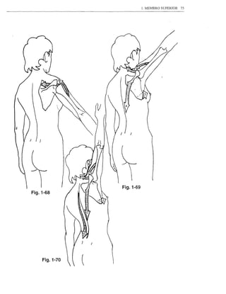 1. MEMBRO SUPERIOR   75




J    I)




                             Fig.1-69
    Fig.1-68




                         /



          Fig.1-70
                     (
 
