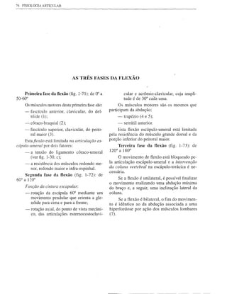 76   FISIOLOGIA ARTICULAR




                                AS TRÊS FASES DAFLEXÃO


    Primeira fase da flexão (fig. 1-71): de 0° a             cular e acrômio-clavicular, cuja ampli-
50-60°                                                       tude é de 30° cada uma.
      Os músculos motores desta primeira fase são:         Os músculos motores são os mesmos que
      - fascículo anterior, c1avicular, do del-      participam da abdução:
         tóide (1);                                      -   trapézio (4 e 5);
      - córaco-braquial (2);                             -   serrátil anterior.
      - fascículo superior, clavicular, do peito-         Esta flexão escápulo-umeral está limitada
        ral maior (3).                               pela resistência do músculo grande dorsal e da
    Estafiexão está limitada na articulação es-      porção inferior do peitoral maior.
cápulo-umeral por dois fatores:                          Terceira fase da flexão (fig. 1-73): de
                                                     120° a 180°
      - a tensão do ligamento córaco-umeral
        (ver figo 1-30, c);                               O movimento de flexão está bloqueado pe-
      - a resistência dos músculos redondo me-       la articulação escápulo-umeral e a intervenção
        nor, redondo maior e infra-espinhal.         da coluna vertebral na escápulo-torácica é ne-
                                                     cessária.
     Segunda fase da flexão (fig. 1-72): de
60° a 120°                                                Se a flexão é unilateral, é possível finalizar
                                                     o movimento realizando uma abdução máxima
      Função da cintura escapular:                   do braço e, a seguir, uma inclinação lateral da
      - rotação da escápula 60° mediante um          coluna.
        movimento pendular que orienta a gle-             Se a flexão é bilateral, o fim do movimen-
        nóide para cima e para a frente;             to é idêntico ao da abdução associada a uma
      - rotação axial, do ponto de vista mecâni-     hiperlordose por ação dos músculos lombares
        co, das articulações esternocostoc1avi-      (7).
 