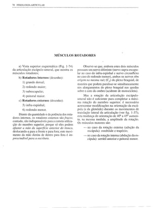 78   FISIOLOGIA ARTICULAR




                                   MÚSCULOS ROTADORES


     a) Vista superior esquemática (Fig. 1-74)             Observe-se que, embora estes dois músculos
da articulação escápulo-umeral, que mostra os         possuam um nervo diferente (nervo supra-escapu-
músculos rotadores;                                   lar no caso do infra-espinhal e nervo circunflexo
      b) Rotadores internos (desenho):                no caso do redondo menor), ambos os nervos têm
                                                      origem na mesma raiz (Cs) do plexo braquial, de
         1) grande dorsal;
                                                      maneira que podem paralisar-se simultaneamente
         2) redondo maior;                            nos alongamentos do plexo braquial nas quedas
         3) subescapular;                             sobre o coto do ombro (acidente de motocicleta).
         4) peitoral maior.                                Mas a rotação da articulação escápulo-
                                                      umeral não é suficiente para completar a máxi-
      c) Rotadores externos (desenho):
                                                      ma rotação do membro superior: é necessário
         5) infra-espinhal;                           acrescentar modificações na orientação da escá-
         6) redondo menor.                            pula (e da glenóide) durante os movimentos de
                                                      translação lateral da articulação (ver figo 1-37);
     Diante da quantidade e da potência dos rota-
                                                      esta mudança de orientação de 40° a 45° aumen-
dores internos, os rotadores externos são fracos;
                                                      ta. na mesma medida, a amplitude da rotação.
contudo, são indispensáveis para a correta utiliza-   Os músculos motores são:
ção do membro superior, porque só eles podem
afastar a mão da superfície anterior do tronco,           -   no caso da rotação externa (adução da
deslocando-a para a frente e para fora; este movi-            escápula): rombóide e trapézio;
mento da mão direita de dentro para fora é im-            - no caso da rotação interna (abdução da es-
prescindível para a escritura.                              cápula): serráti1anterior e peitoral menor.
 