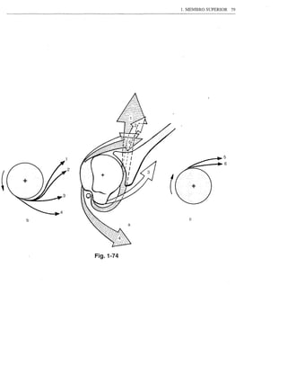 1. MEMBRO SUPERIOR   79




                                        5
                                        6
        2



,
    b                     c




            Fig.1-74
 