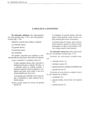 80   FISIOLOGIA ARTICULAR




                                 AADUÇÃO E A EXTENSÃO


     Os músculos adutores são representados                    A contraç~o do grande dorsal, músculo
em vista anterior (fig. 1-75) e em vista póstero-              adutor muito potente, tende a luxar a ca-
externa (fig. 1-76).                                           beça umeral para baixo (seta preta);
      Números comuns para ambas as figuras:                    A porção longa do tríceps, que é ligeira-
      (1) redondo maior;                                       mente adutora, quando se contrai simul-
                                                               taneamente, se opõe a esta luxação e ele-
      (2) grande dorsal;
                                                               va a cabeça umeral (seta branca).
      (3) peitoral maior;
                                                         Os músculos extensores estão representa-
      (4) rombóide.
                                                    dos em vista póstero-extema (fig. 1-77).
     No quadro: esquemas que explicam o fun-               Extensão da articulação escápulo-wne-
cionamento dos dois pares musculares da adução:     ral:
      a) par rombóide (1) redondo maior (2)                -   redondo maior (1);
         A ação sinérgica destes dois músculos é
                                                           -   redondo menor (5);
         indispensável para a adução. De fato, se
         o redondo maior se contrai sozinho, o             - porção posterior, espinhal, do deltóide (6);
         membro superior resiste à adução e a es-          -   grande dorsal (2).
         cápula gira para cima sobre o seu eixo
                                                         Extensão da articulação escápulo-toráci-
         (representado por uma cruz).
                                                    ca, por adução da escápula:
         A contração do rombóide evita esta rota-
                                                           -   rombóide (4);
         ção e possibilita a ação adutora do re-
         dondo maior.                                      -   porção média, transversal, do trapézio
                                                               (7);
      b) par porção longa do tríceps (4) grande
         dorsal (3)                                        -   grande dorsal (2).
 