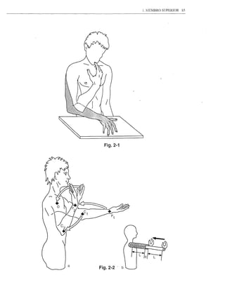 1. 11EMBRO SUPERIOR   85




      Fig.2-1




a
    Fig.2-2   . b
 