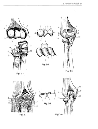2
     8




                                                        13
                  14

             15
                                                         12

             16

                                                                      b


                                                                   Fig.2-4


                                                                                         Fig.2-5
                              Fig.2-3




                                                                                 14
                                     .ltlflUJJ//~
                       "'('111.·':~,i~~                 20
                                                    8
                                                              1
                                                                     Fig.2-8
18           17




             ~~




                                                                               Fig.2-6
 