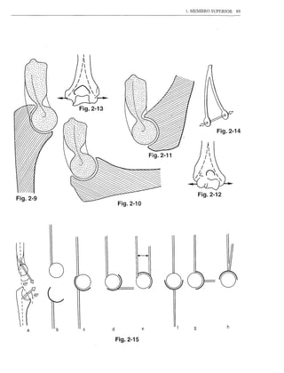1. MEMBRO SUPERIOR    89




              Fig.2-13


                                                                    Fig.2-14



                                            Fig.2-11




                                                              Fig.2-12
Fig.2-9
                             Fig.2-10




                                                                         o
                                                                         h
   a      b    c         d              e                 9


                             Fig.2-15
 
