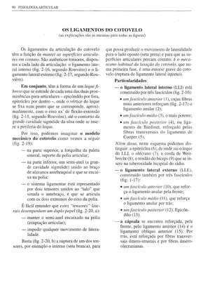 90   FISIOLOGIA ARTICULAR




                               OS LIGAMENTOS DO COTOVELO
                             (as explicações são as mesmas para todas as figuras)


      Os ligamentos da articulação do cotovelo           que possa produzir o movimento de lateralidade
têm a função de manter as superfícies articitla-         para o lado oposto (seta preta) e para que as su-
res em contato. São autênticos tensores, dispos-         perfícies articulares percam contato: é o meca-
tos a cada lado da articulação: o ligamento late-        nismo habitual da luxação do cotovelo, que nu-
ral interno (fig. 2-16, segundo Rouviere) e o li-        ma primeira fase, é uma entorse grave do coto-
gamento lateral externo (fig. 2-17, segundo Rou-         velo (ruptura do ligamento lateral i~terno).
viere).                                                       Particularidades:
     Em conjunto, têm a forma de um leque fi-                 -   o ligamento~ lateral interno (LU) está
broso que se estende de cada uma das duas proe-                   constituído por três fascículos (fig. 2-16):
minências para-articulares - epicôndilo por fora,
                                                                  • um fascículo anterior (1), cujas fibras
epitróc1ea por dentro -, onde o vértice do leque
                                                                   mais anteriores reforçam (fig. 2-17) o
se fixa num ponto que se corresponde, aproxi-
                                                                   ligamento anular (2);
madamente, com o eixo xx' de flexão-extensão
(fig. 2-18, segundo Rouviere), até o contorno da                  • um fascículo médio (3), o mais potente;
grande cavidade sigmóide da ulna onde se inse-                    • um fascículo posterior (4), ou liga-
re a periferia do leque.                                           mento de Bardinet, reforçado pelas
    Por isso, podemos imaginar o modelo                            fibras transversais do ligamento de
mecânico do cotovelo como vemos a seguir                           Cooper (5).
(fig. 2-19):                                                  Além disso, neste esquema podemos dis-
      -   na parte superior, a forquilha da paleta            tinguir: a epitróc1ea (6), de onde sai o leque
                                                              do LU, o olécrano (7), a corda de Weit-
          umeral, suporte da polia articular;
                                                              brecht (8), o tendão do bíceps (9) que se in-
      -   na   parte inferior, um semi-anel (a gran-          sere na tuberosidade bicipital do rádio.
          de   cavidade sigmóide) unido ao braço
                                                              - o ligamento lateral externo (LLE),
          de   alavanca antebraquial e que se encai-
                                                                  constituído também por três fascículos
          xa   na polia;
                                                                  (fig. 1-17):
      -   o sistema ligamentar está representado
                                                                  • um fascículo anterior (10), que refor-
          por dois tensores unidos ao "talo" que
                                                                    ça o ligamento anular pela frente;
          simula o antebraço, e que se articula
          com os dois extremos do eixo da polia.                  • um fascículo médio (11), que reforça
                                                                    o ligamento anular por trás;
      É fácil entender que estes "tensores" late-
rais desempenhem um duplo papel (fig. 2-20, a):                   • um fascículo posterior (12). Epicôn-
                                                                    dilo (13).
      -   manter o semi-anel encaixado      na polia
          (coaptação articular);                              -   a cápsula se encontra reforçada, pela
                                                                  frente, pelo ligamento anterior (14) e o
      -   impedir qualquer movimento       de latera-
                                                                  ligamento oblíquo anterior (15). Por
          lidade.
                                                                  trás, está reforçada por fibras transver-
      Basta (fig. 2-20, b) a ruptura de um dos ten-               sais úmero-umerais e por fibras úmero-
sores, por exemplo o interno (seta branca), para                  olecranianas.
 