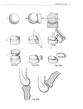 1. MEMBRO   SUPERIOR   93




               x
A




B




c




    Fig.2-21       Fig.2-22           Fig.2-23




                                  b
                   a

                       Fig.2-24
 