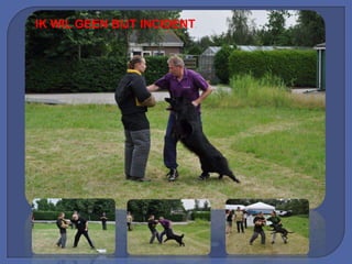 IK WIL GEEN BIJT INCIDENT
 