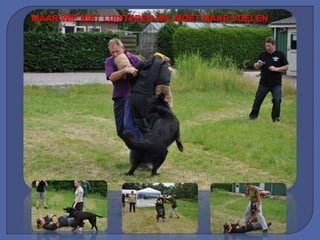 MAAR WIE NIET LUISTEREN WIL MOET MAAR VOELEN
 