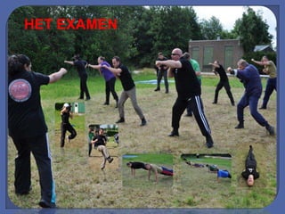 HET EXAMEN
 