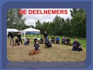 DE DEELNEMERS
 