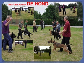MET ONS WAPEN   DE HOND
 