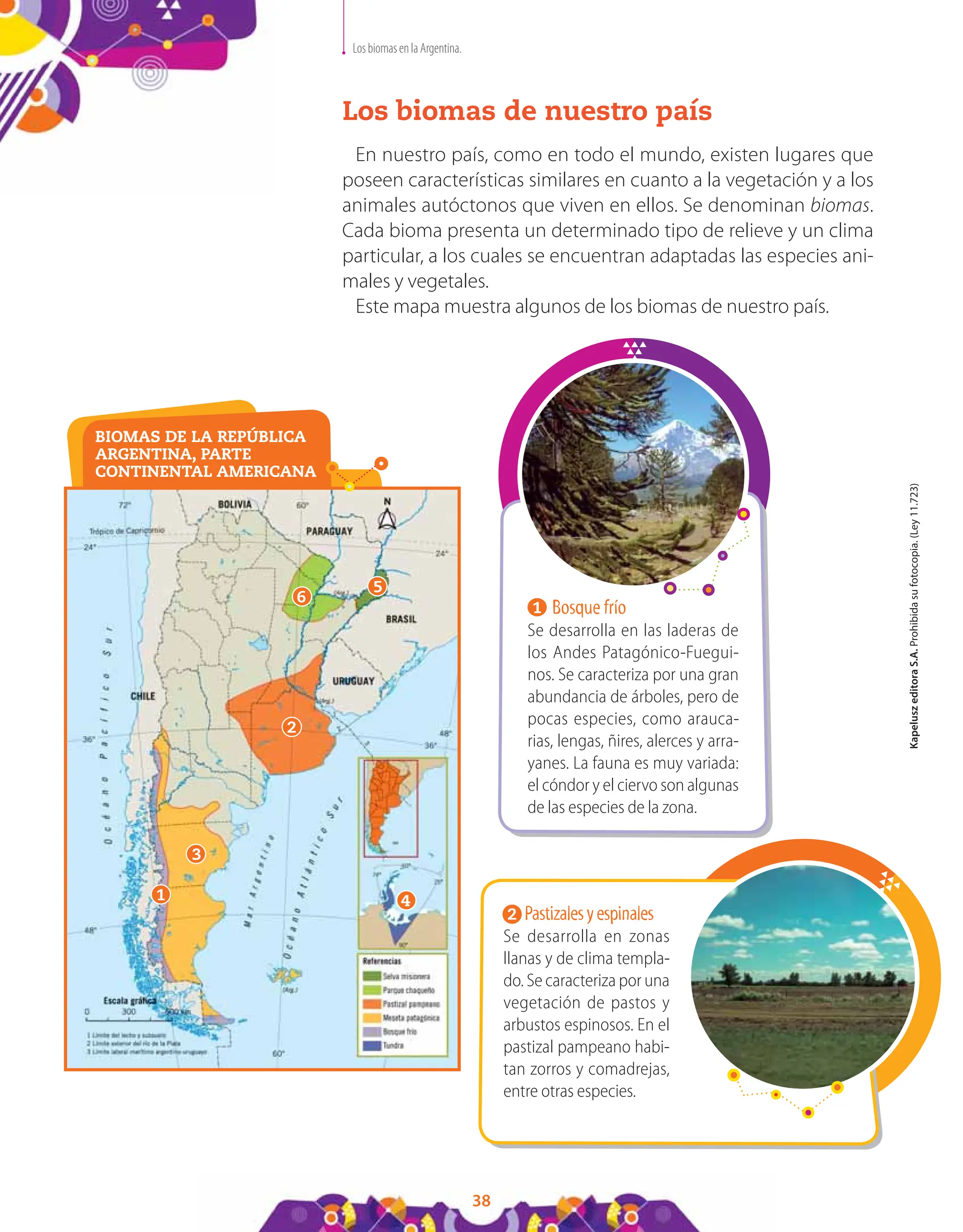 Bio Relieve kapeluz Los ambientes de la ARGENTINA clima relieve bioma.pdf