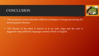 CONCLUSION
 This proposed system describes different techniques of image processing for
detecting plant diseases.
 The disease of the plant is known at at an early stage and the cure is
suggested using different languages namely Hindi or English.
 
