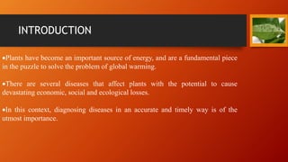 INTRODUCTION
Plants have become an important source of energy, and are a fundamental piece
in the puzzle to solve the problem of global warming.
There are several diseases that affect plants with the potential to cause
devastating economic, social and ecological losses.
In this context, diagnosing diseases in an accurate and timely way is of the
utmost importance.
 