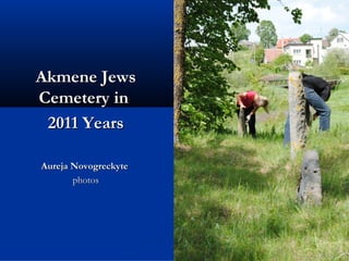 Akmene Jews
Cemetery in
 2011 Years

Aureja Novogreckyte
       photos
 