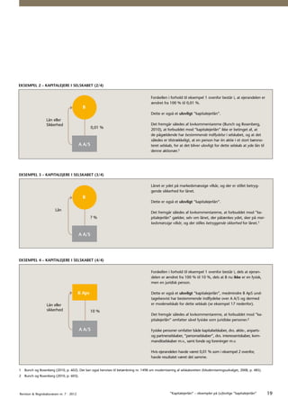 ”Kapitalejerlån” – eksempler på (u)lovlige ”kapitalejerlån” | PDF