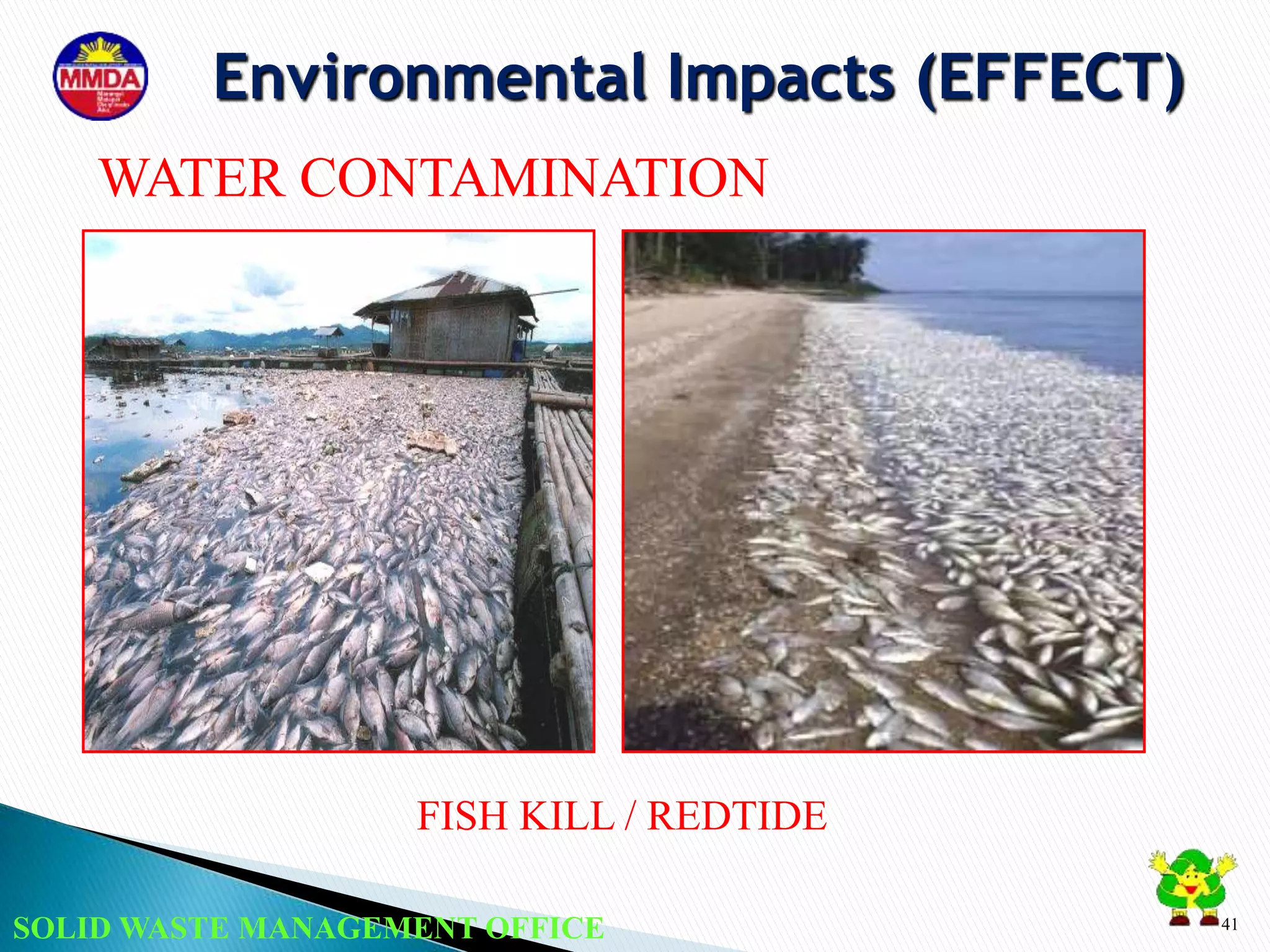 SOLID WASTE MANAGEMENT OFFICE 41
FISH KILL / REDTIDE
WATER CONTAMINATION
Environmental Impacts (EFFECT)
 