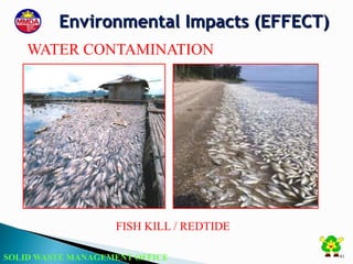 SOLID WASTE MANAGEMENT OFFICE 41
FISH KILL / REDTIDE
WATER CONTAMINATION
Environmental Impacts (EFFECT)
 