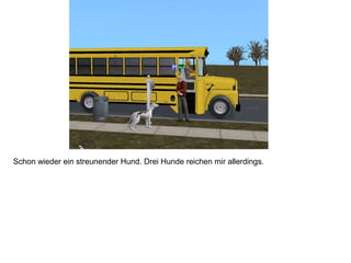 Schon wieder ein streunender Hund. Drei Hunde reichen mir allerdings.
 