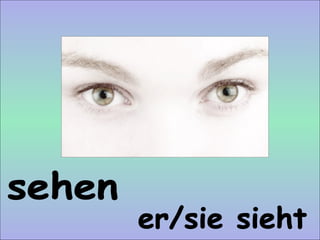 sehen er/sie sieht 
