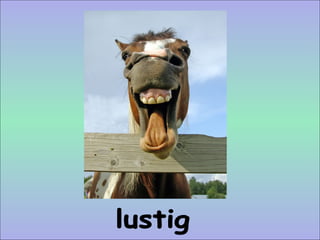 lustig 