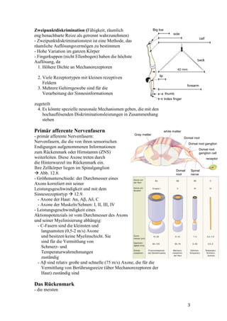 Zweipunktdiskrimination (Fähigkeit, räumlich
eng benachbarte Reize als getrennt wahrzunehmen)
- Zweipunktdiskriminationstest ist eine Methode, das
räumliche Auflösungsvermögen zu bestimmen
- Hohe Variation im ganzen Körper
- Fingerkuppen (nicht Ellenbogen) haben die höchste
Auflösung, da
  1. Höhere Dichte an Mechanorezeptoren

 2. Viele Rezeptortypen mit kleinen rezeptiven
    Feldern
 3. Mehrere Gehirngewebe sind für die
    Verarbeitung der Sinnesinformationen

zugeteilt
  4. Es könnte spezielle neuronale Mechanismen geben, die mit den
     hochauflösenden Diskriminationsleistungen in Zusammenhang
     stehen

Primär afferente Nervenfasern
- primär afferente Nervenfasern:
Nervenfasern, die die von ihren sensorischen
Endigungen aufgenommenen Informationen
zum Rückenmark oder Hirnstamm (ZNS)
weiterleiten. Diese Axone treten durch
die Hinterwurzel ins Rückenmark ein.
Ihre Zellkörper liegen im Spinalganglion
    Abb. 12.8.
- Größenunterschiede: der Durchmesser eines
Axons korreliert mit seiner
Leistungsgeschwindigkeit und mit dem
Sinnesrezeptortyp 12.9.
  - Axone der Haut: Aα, Aβ, Aδ, C
  - Axone der Muskeln/Sehnen: I, II, III, IV
- Leistungsgeschwindigkeit eines
Aktionspotenzials ist vom Durchmesser des Axons
und seiner Myelinisierung abhängig:
  - C-Fasern sind die kleinsten und
    langsamsten (0,5-2 m/s) Axone
    und besitzen keine Myelinschicht. Sie
    sind für die Vermittlung von
    Schmerz- und
    Temperaturwahrnehmungen
    zuständig
  - Aβ sind relativ große und schnelle (75 m/s) Axone, die für die
    Vermittlung von Berührungsreize (über Mechanorezeptoren der
    Haut) zuständig sind

Das Rückenmark
- die meisten


                                                                     3
 
