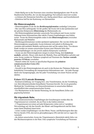 - findet häufig nur in den Neuronen eines einzelnen Spinalganglions statt nur die
Hautbereiche betroffen, die von den dazugehörige Nervenfasern innerviert werden
- es können alle Dermatome betroffen sein, häufig jedoch Brust- und Gesichtsbereich
- Gürtelrose half bei der Kartierung von Dermatomen

Die Hinterstrangbahn
- Hinterstrangbahn ist die für das Berührungsinformation zuständige Leitsystem
- Der zum Hirn aufsteigende Ast der großen Aβ-Axone tritt in den ipsilateralen (auf
der gleichen Körperseite) Hinterstrang des Rückenmarks ein.
- Die Hinterstrangbahnen (primäre sensorische Nervenfasern und Axone zweiter
Ordnung) leiten Informationen über taktile (Tasten) Empfindungen zum Gehirn
weiter. Axone der Hinterstrangbahn enden in den Hinterstrangkernen (zweischen
Rückenmark und Medulla)
- Berührungsinformationen werden ipsilateral repräsentiert. Die von den Zellen der
Hinterstrangkerne ausgehenden Axone krümmen sich jedoch in Richtung der
ventralen und medialen Medulla und kreuzen dort auf die andere Seite. Von diesem
Punkt werden im somato-sensorischen System einer Hirnseite Infos über
Sinnesempfindungen von der jeweils anderen Körperseite verarbeitet.
- Axone aus den Hinterstrangkernen steigen in einem Strang, dem Lemniscus
medialis, aufwärts. Dieser zieht durch die Medulla, Pons und Mittelhirn aufwärts und
seine Axone werden im Thalamus synaptisch auf Neuronen des Nucleus ventralis
posterior (VP-Kern) verschaltet.
- Danach ziehen die Axone zu spezifischen Regionen des primären
somatosensorischen Cortex (S1)
   Abb. 12.14.
- Sowohl in den Hinterstrangkernen als auch in den Kernen des Thalamus findet eine
betächtliche Umwandlung der transportierten Informationen statt – bei jeder Passage
durch eine Synapsengruppe, also bei jeder Verschaltung von einem Neuron auf das
nächste.

Exkurs 12.2 Laterale Hemmung
- Kontrastverstärkung: ein Vorgang bzw. eine Transformation, die die Verstärkung
von Aktivitätsunterschieden benachbarter Neuronen bewirkt. Sie ist ein generelles
Merkmal der Verarbeitung von Sinnesinformationen in sensorischen Bahnen
einschließlich dem somatosensorischen System.
- Ein Mechanismus ist die laterale Hemmung, bei der benachbarte Zellen sich
gegenseitig hemmen

Die trigeminale Bahn
- Die somatosensorischen Empfindungen der Gesichtsregion werden über die
Trigeminusnerven vermittelt, die am Pons in das Gehirn eintreten
- 2 Tregeminusnerven (einen auf jeder Körperseite), teilen sich in 3 periphere
Nervenstränge auf, die das Gesicht, den Mund- und Zungenbereich und die Dura
mater (harte Hinrhaut) innervieren.
- weiter werden Empfindungen von den Ohren, Nasen- und Rachenregion über den
Nervus facialis (VII), den nervus glossopharyngeus (IX) und den nervus vagus (X)
vermittelt.
- die dicken sensorischen Axone des Trigeminusnervs übermitteln taktile Infos von
den Mechanorezeptoren in der Haut. Eine synaptische Verschaltung auf Neuronen



                                                                                    5
 