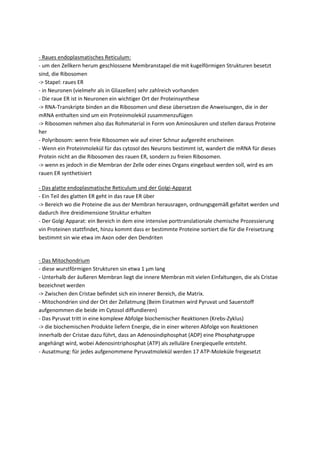 - Raues endoplasmatisches Reticulum:
- um den Zellkern herum geschlossene Membranstapel die mit kugelförmigen Strukturen besetzt
sind, die Ribosomen
-> Stapel: raues ER
- in Neuronen (vielmehr als in Gliazellen) sehr zahlreich vorhanden
- Die raue ER ist in Neuronen ein wichtiger Ort der Proteinsynthese
-> RNA-Transkripte binden an die Ribosomen und diese übersetzen die Anweisungen, die in der
mRNA enthalten sind um ein Proteinmolekül zusammenzufügen
-> Ribosomen nehmen also das Rohmaterial in Form von Aminosäuren und stellen daraus Proteine
her
- Polyribosom: wenn freie Ribosomen wie auf einer Schnur aufgereiht erscheinen
- Wenn ein Proteinmolekül für das cytosol des Neurons bestimmt ist, wandert die mRNA für dieses
Protein nicht an die Ribosomen des rauen ER, sondern zu freien Ribosomen.
-> wenn es jedoch in die Membran der Zelle oder eines Organs eingebaut werden soll, wird es am
rauen ER synthetisiert

- Das glatte endoplasmatische Reticulum und der Golgi-Apparat
- Ein Teil des glatten ER geht in das raue ER über
-> Bereich wo die Proteine die aus der Membran herausragen, ordnungsgemäß gefaltet werden und
dadurch ihre dreidimensione Struktur erhalten
- Der Golgi Apparat: ein Bereich in dem eine intensive porttranslationale chemische Prozessierung
vin Proteinen stattfindet, hinzu kommt dass er bestimmte Proteine sortiert die für die Freisetzung
bestimmt sin wie etwa im Axon oder den Dendriten


- Das Mitochondrium
- diese wurstförmigen Strukturen sin etwa 1 µm lang
- Unterhalb der äußeren Membran liegt die innere Membran mit vielen Einfaltungen, die als Cristae
bezeichnet werden
-> Zwischen den Cristae befindet sich ein innerer Bereich, die Matrix.
- Mitochondrien sind der Ort der Zellatmung (Beim Einatmen wird Pyruvat und Sauerstoff
aufgenommen die beide im Cytosol diffundieren)
- Das Pyruvat tritt in eine komplexe Abfolge biochemischer Reaktionen (Krebs-Zyklus)
-> die biochemischen Produkte liefern Energie, die in einer witeren Abfolge von Reaktionen
innerhalb der Cristae dazu führt, dass an Adenosindiphosphat (ADP) eine Phosphatgruppe
angehängt wird, wobei Adenosintriphosphat (ATP) als zelluläre Energiequelle entsteht.
- Ausatmung: für jedes aufgenommene Pyruvatmolekül werden 17 ATP-Moleküle freigesetzt
 