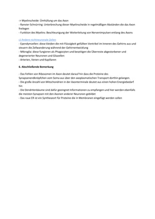 -> Myelinscheide: Ümhüllung um das Axon
- Ranvier-Schnürring: Unterbrechung dieser Myelinscheide in regelmäßigen Abständen die das Axon
freilegen
- Funktion des Myelins: Beschleunigung der Weiterleitung von Nervenimpulsen entlang des Axons

c) Andere nichtneuronale Zellen
- Ependymzellen: diese kleiden die mit Flüssigkeit gefüllten Ventrikel im Inneren des Gehirns aus und
steuern die Zellwanderung während der Gehirnentwicklung
- Mikroglia: diese fungieren als Phagocyten und beseitigen die Überreste abgestorbener und
degenerierter Neuronen und Gliazellen
- Arterien, Venen und Kapillaren

6. Abschließende Bemerkung

- Das Fehlen von Ribosomen im Axon deutet darauf hin dass die Proteine des
Synapsenendknöpfchen vom Soma aus über den axoplasmatischen Transport dorthin gelangen.
- Die große Anzahl von Mitochondrien in der Axonterminale deutet aus einen hohen Energiebedarf
hin
- Die Dendritenbäume sind dafür geeingnet Informationen zu empfangen und hier werden ebenfalls
die meisten Synapsen mit den Axonen anderer Neuronen gebildet
- Das raue ER ist ein Syntheseort für Proteine die in Membranen eingefügt werden sollen
 