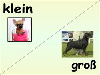 klein groß 