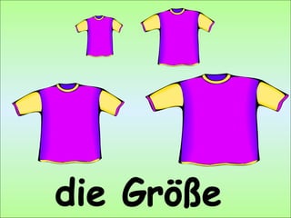 die Größe 