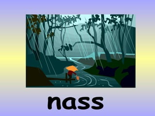 nass 