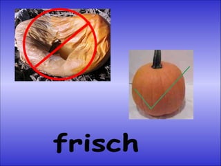 frisch 