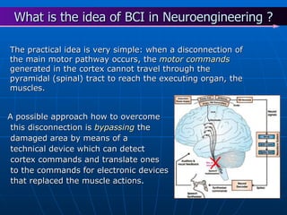 A possible approach how to overcome this disconnection is  bypassing  the damaged area by means of a technical device which can detect cortex commands and translate ones to the commands for electronic devices that replaced the muscle actions.   What is the idea of BCI in Neuroengineering ? The practical idea is very simple: when a disconnection of the main motor pathway occurs, the  motor commands  generated in the cortex cannot travel through the pyramidal (spinal) tract to reach the executing organ, the muscles. 