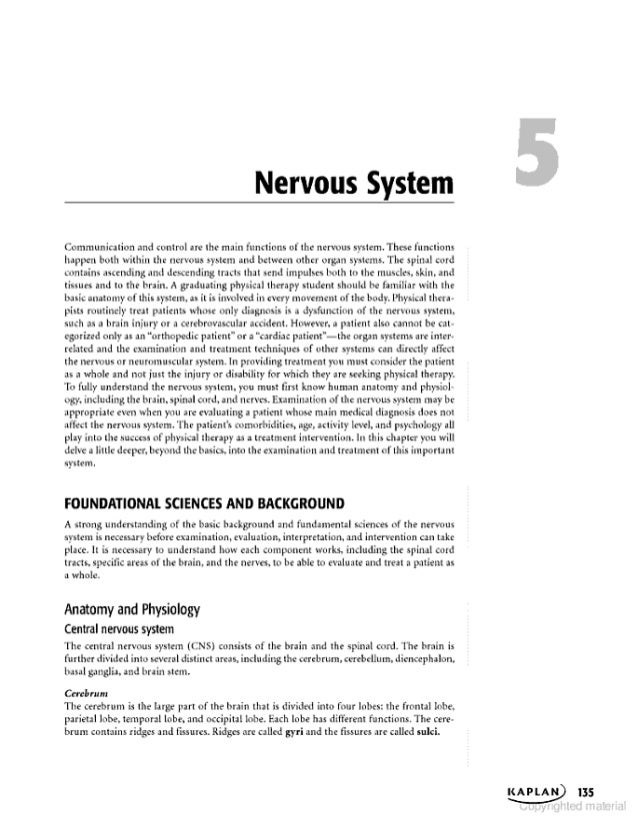 Essay questions on autonomic nervous system