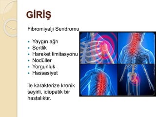 GİRİŞ
Fibromiyalji Sendromu
 Yaygın ağrı
 Sertlik
 Hareket limitasyonu
 Nodüller
 Yorgunluk
 Hassasiyet
ile karakterize kronik
seyirli, idiopatik bir
hastalıktır.
 