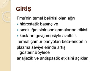GİRİŞ
Fms’nin temel belirtisi olan ağrı
 hidrostatik basınç ve
 sıcaklığın sinir sonlanmalarına etkisi
 kasların gevşemesiyle azaltılır.
Termal çamur banyoları beta-endorfin
plazma seviyelerinde artış
gösterir.Böylece
analjezik ve antispastik etkisini açıklar.
 