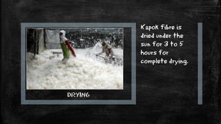DRYING
Kapok fibre is
dried under the
sun for 3 to 5
hours for
complete drying.
 